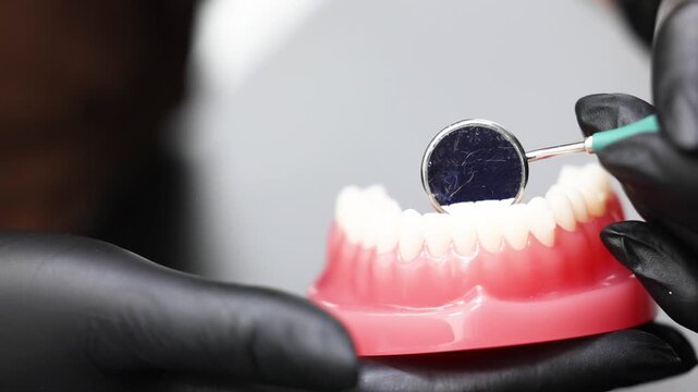 Dental mirror examination on jaw model close up training concept