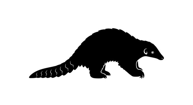 Black silhouette of pangolin walking.