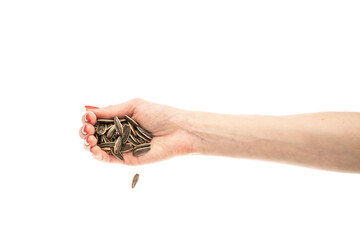 Fototapeta premium Female hand sunflower seeds on a white background isolation