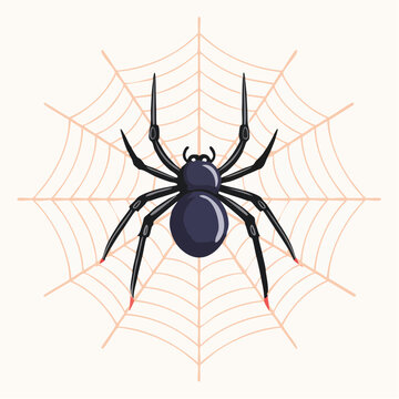 Black Widow Spider on Web Illustration
