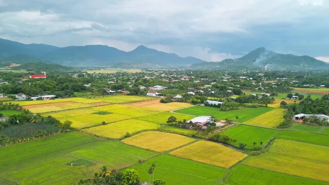 Aerial drone view of rice fields in Vietnamese countryside with mountains