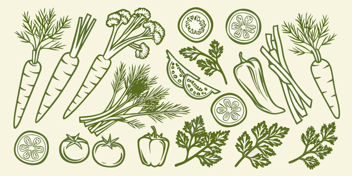Hand drawn vegetables and herbs illustration with carrots tomatoes and parsley on a beige background