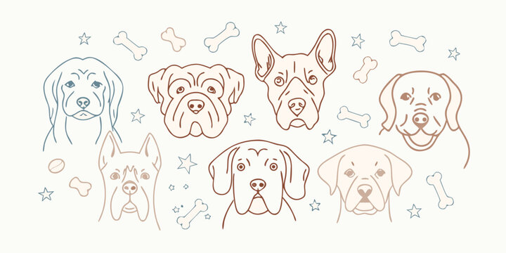 Stylized line art illustration of seven different dog breeds with bones and stars high quality