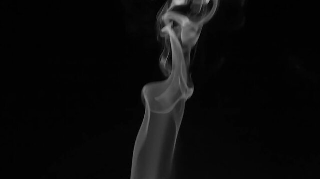 White Steam Vapor Rising on Black Background &ndash; Swirling Mist Fog with Micro Water Droplets Close-Up