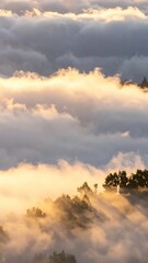 Fototapeta premium Golden light breaks through a sea of clouds, illuminating a forested hillside