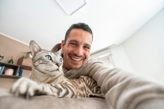 Owner playing with cat relaxing on the bed at home - Happy man and bengal cat taking selfie picture indoor - Domestic animal and people life style concept