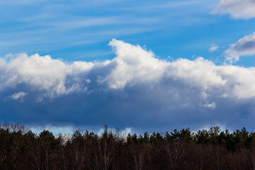 Obraz premium Dramatic clouds loom over a dark forest line under a bright blue sky, hinting at changing weather patterns