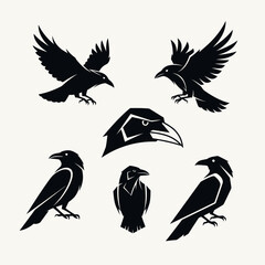 Naklejka premium Silhouette Raven Collection: Flying, Perched, and Head Icon