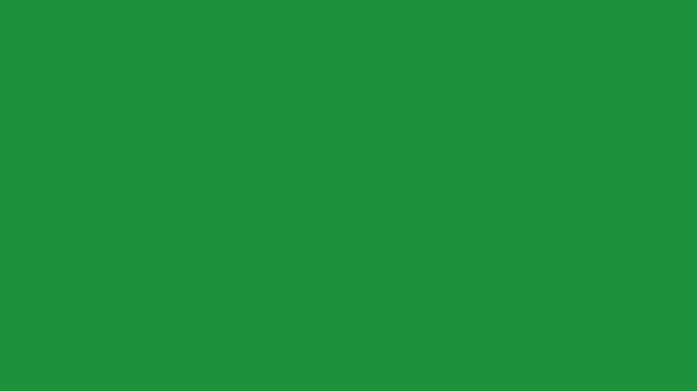 Paparazzi camera flashes  green skin background for overlay on advertisement 4K. Animation of paparazzi camera flashes against black background. Animation of white camera flashes on black screen 