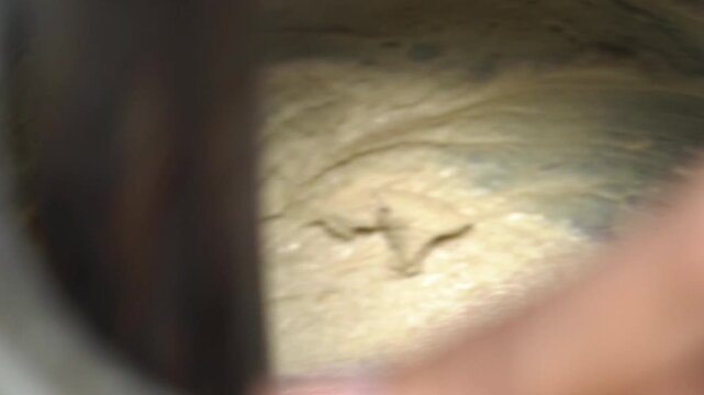 Extreme close up shot of making lassi from curd in vessel. Indian food preparation and dairy mixing process.
