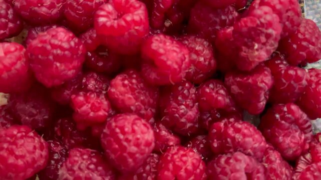 Top down view of a pile of fresh ripe red raspberries filling the frame with juicy crimson texture, perfect summer harvest food background