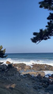 Ocean waves crashing on rocks with trees, peaceful seaside nature background
