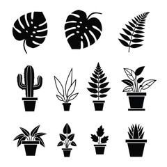 Obraz premium Variety of Potted Houseplants and Cacti.
