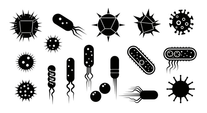 Vector Set of Microorganism Silhouettes, Bacteria and Virus Icons for Medical and Biological Science Design