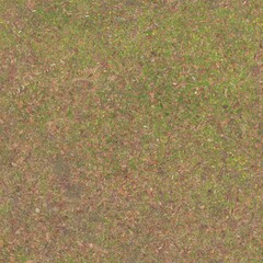 Realistic Seamless Ground Texture with Fallen Leaves and Grass Pattern © Volks