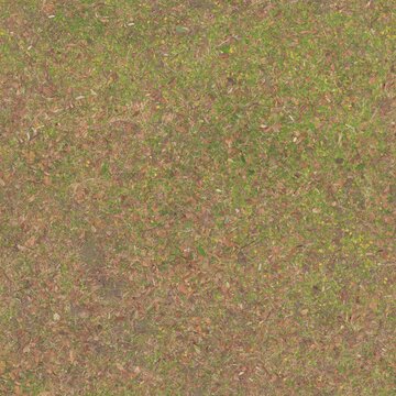 Realistic Seamless Ground Texture with Fallen Leaves and Grass Pattern