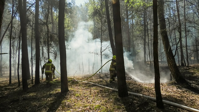 Forest fire extinguishing operation, heavy smoke, conflagration in the forest, burnt out area