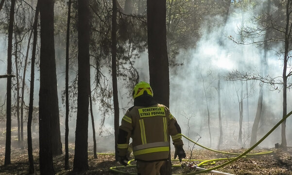Forest fire, firefighter extinguishes fire in the forest, drought