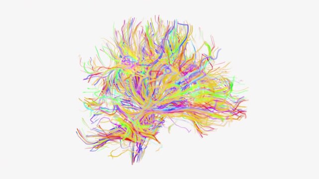 Brain Fibers formation video | Brain Fibers Creative visualization