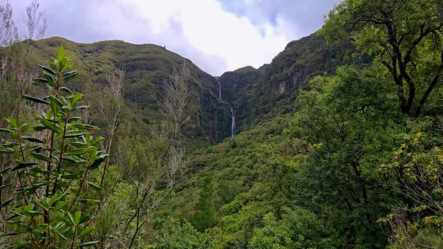 Risco Waterfall In Madeira Flowing Down Steep Green Cliffs With Lush Laurisilva Forest, Fresh Mountain Water, And Dramatic Vertical Cascade Creating Scenic And Atmospheric Nature Travel Footage