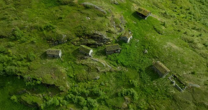 Aerial top-down view of abandoned farm cabins with moss-covered roofs on a lush green pasture, capturing a quiet and rustic rural landscape.