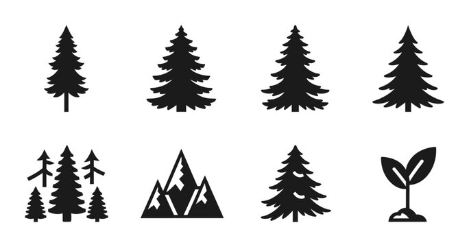 Pine tree silhouette set black and white solid icons, isolated white background