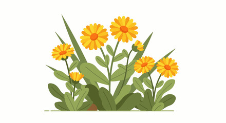 Fototapeta premium A cluster of bright yellow flowers with orange centers and green leaves