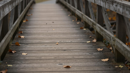 Obraz premium Autumn leaves on wooden bridge - Food & Drink