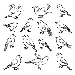 Obraz premium Various Bird Species Line Drawings Collection.