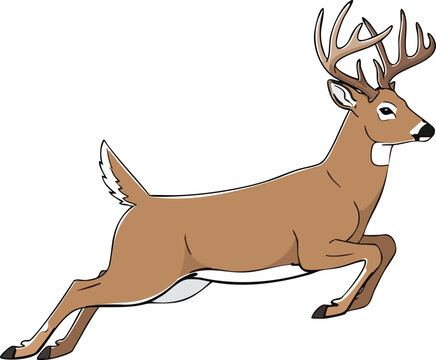 Buck deer running on white background with animal kingdom wild animal graphic resource wildlife outdoors illustration clip art isolated standing prancing galloping cervidae ruminant