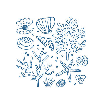Isolated sea elements in hand-drawn style. Corals, seashells and starfish outline set.