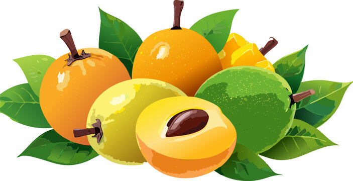 Apple fruit vector isolated with leaves and seeds
