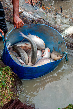 Fishing