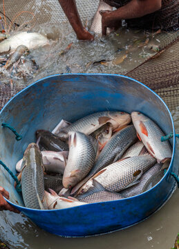 Fishing