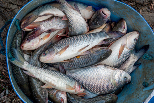 Fishing