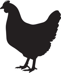 vector illustration of a chicken © shahinahmed