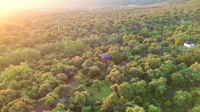 Aerial view of treehouse in lush green forest at sunset, peaceful nature escape and eco living lifestyle concept