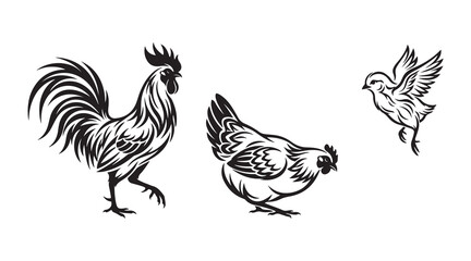 chick hen rooster simple illustration © James