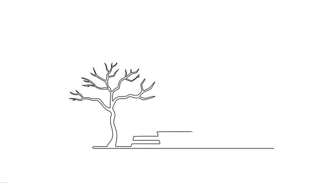 Traditional Japanese house with zen garden line art animation.