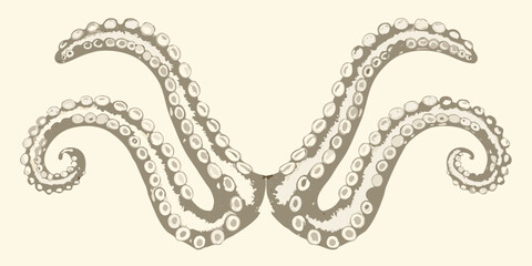 Intricate symmetrical octopus tentacles illustration with suction cups on a beige background high quality professional © Bithi