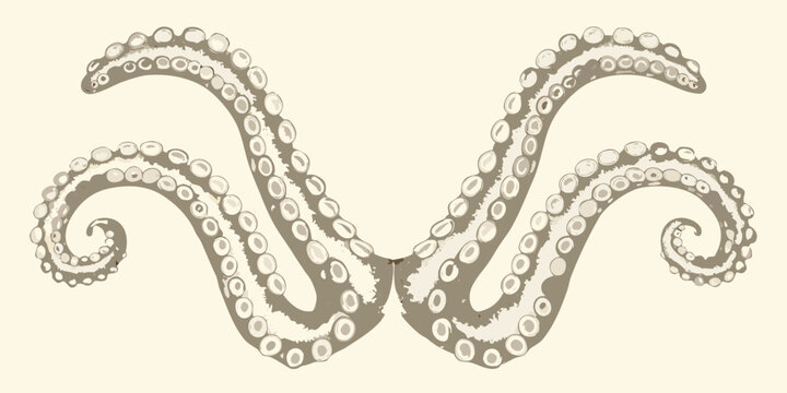 Intricate symmetrical octopus tentacles illustration with suction cups on a beige background high quality professional