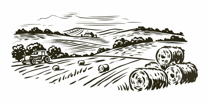 Rural landscape with tractor hay bales and farm buildings in monochrome line art style