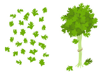Fototapeta premium Flat illustration of celery stalk bundle and scattered leaves.