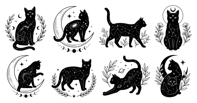 Mystical black cat set with moon phase and celestial constellation