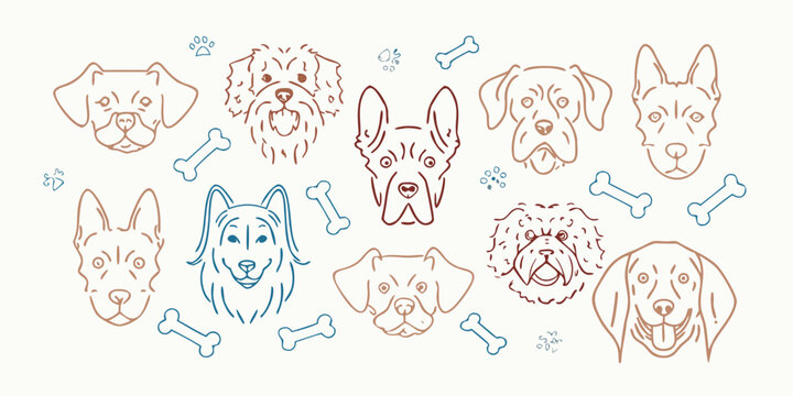 Stylized line art illustration of various dog breeds with bones and paw prints on a beige background