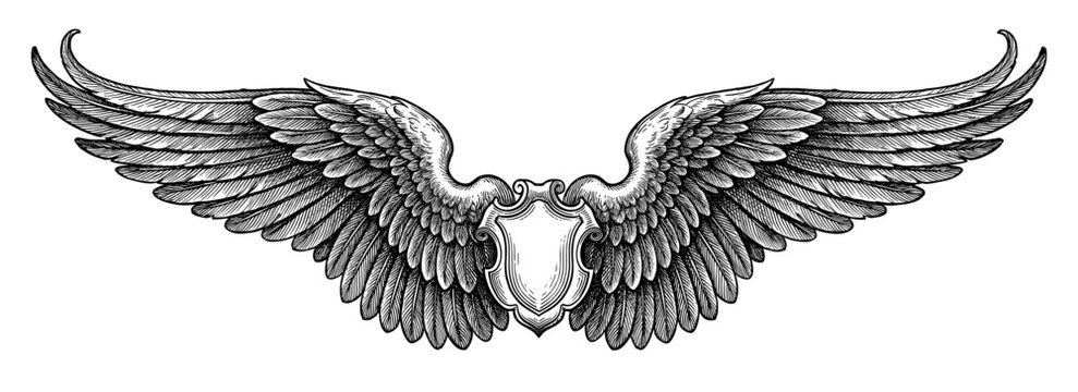 Heraldic shield and outspread wing in engraving