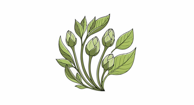 Hand-drawn green buds and leaves illustration on white background