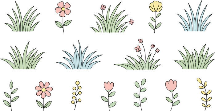 Variety of wildflowers and grasses in a collection of illustrations