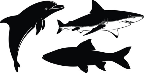 Marine life silhouette collection dolphin shark and pufferfish © MDSAIFUL