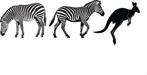 Zebra and kangaroo silhouette a striking contrast of african and australian wildlife © MDSAIFUL
